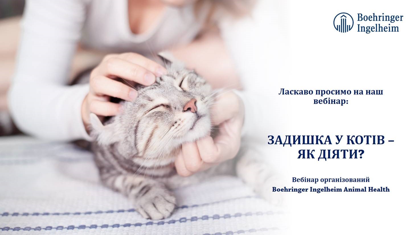 ПРИГЛАШЕНИЕ! ВЕБИНАР "ОДЫШКА У КОШЕК – КАК ДЕЙСТВОВАТЬ?"