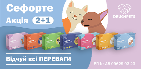 Сефорте Акція 2+1